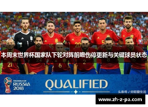 本周末世界杯国家队下轮对阵前瞻伤停更新与关键球员状态