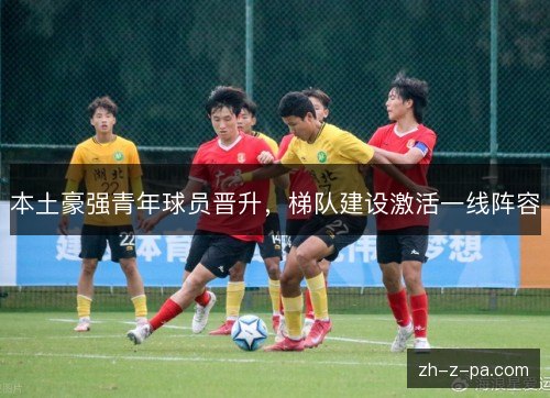 本土豪强青年球员晋升，梯队建设激活一线阵容